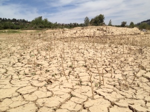 Dried lake bed next to Beit  Zayit